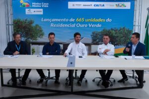 Ilustração da fachada de uma casa não geminada no Residencial Ouro Verde em Arapongas, mostrando rua asfaltada e paisagismo.