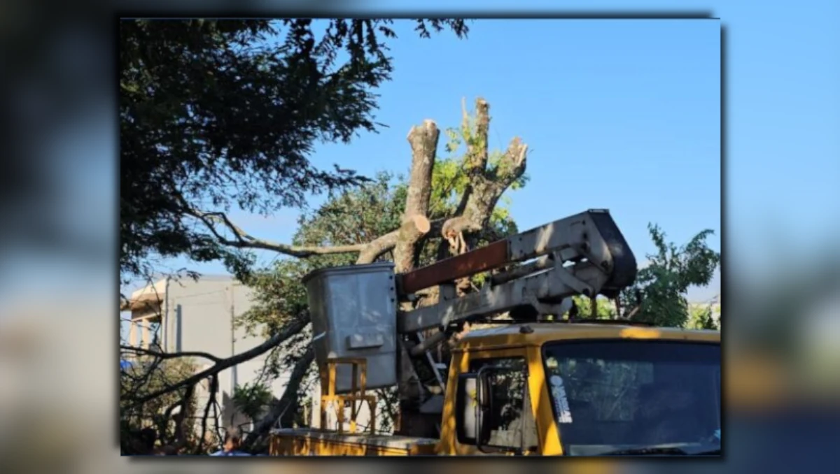 Acidente de trabalho em Arapongas mostrando um caminhão com cesto elevado sob galhos de uma árvore cortada durante o dia.