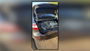 Apreensão de maconha em Arapongas mostrando os tabletes da droga confiscados pela PRE guardados no porta-malas do veículo na rodovia.