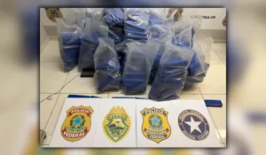 Centenas de tabletes azuis de maconha empilhados no chão com os brasões da Polícia Federal, Polícia Militar do Paraná, Polícia Rodoviária Federal e Receita Federal posicionados à frente durante apreensão de maconha em Rolândia.