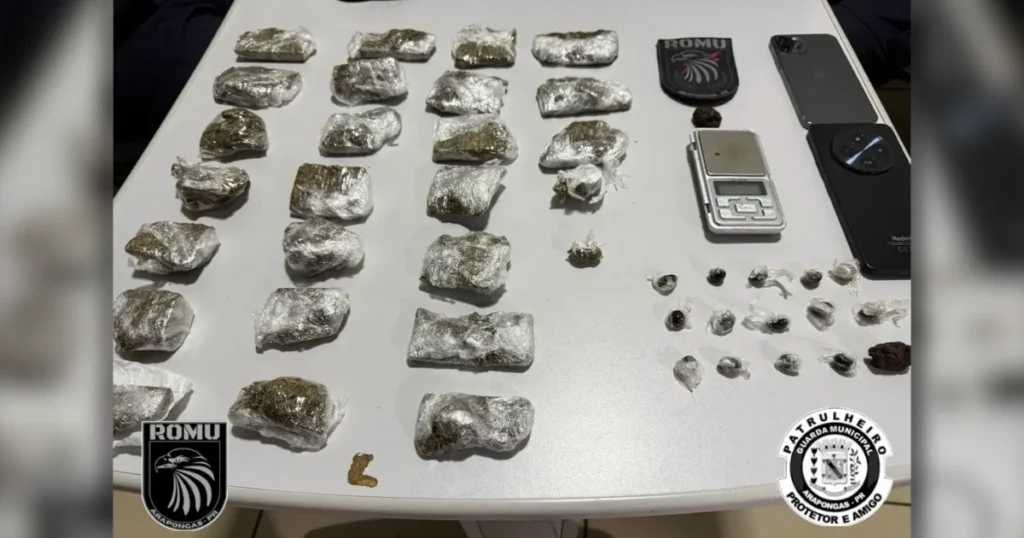 Disk-drogas em Arapongas mostrando a motocicleta apreendida e as porções de maconha enfileiradas sobre a mesa da delegacia de plantão.