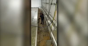 Cachorro resgatado de fosso em Arapongas por agentes da Guarda Ambiental.